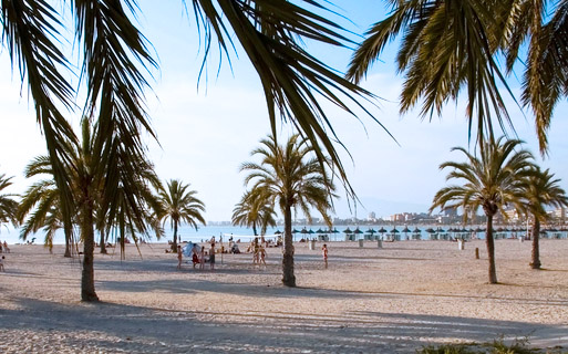 playa de palma airport transfer 